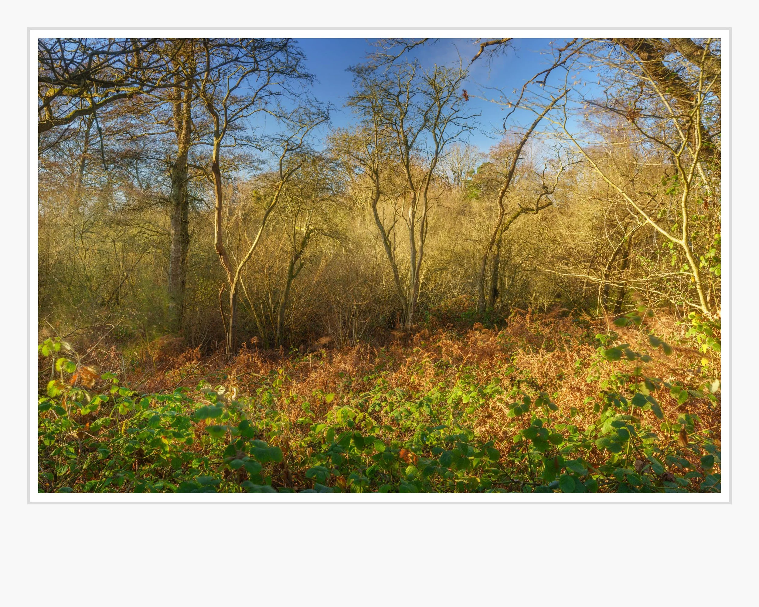 Squarespace _TI22196-3-Edit-2-2.jpg