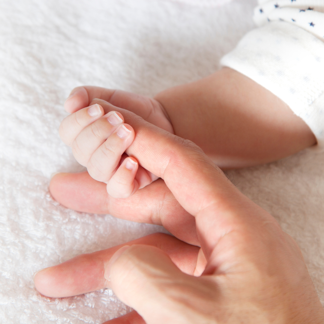 DNA-Barn - Frjósemi og meðganga