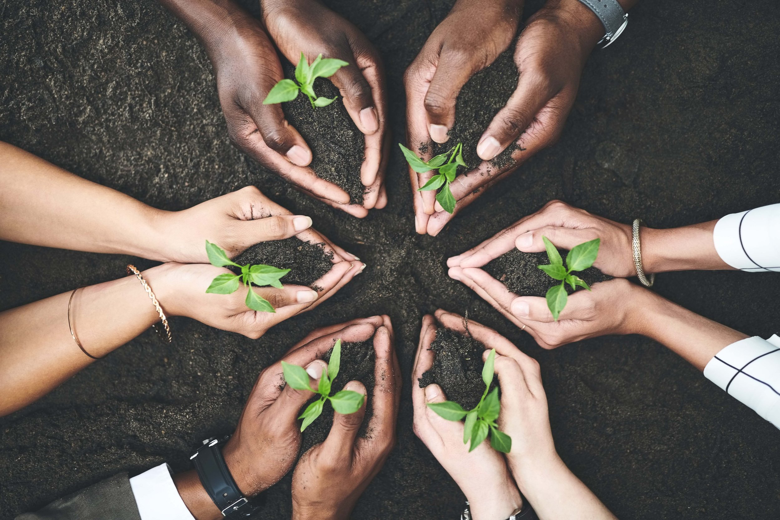 Eftirfylngnisviðtal