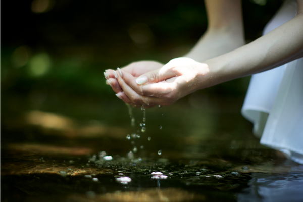 Person's hands cupping water over a small stream in a natural outdoor setting.