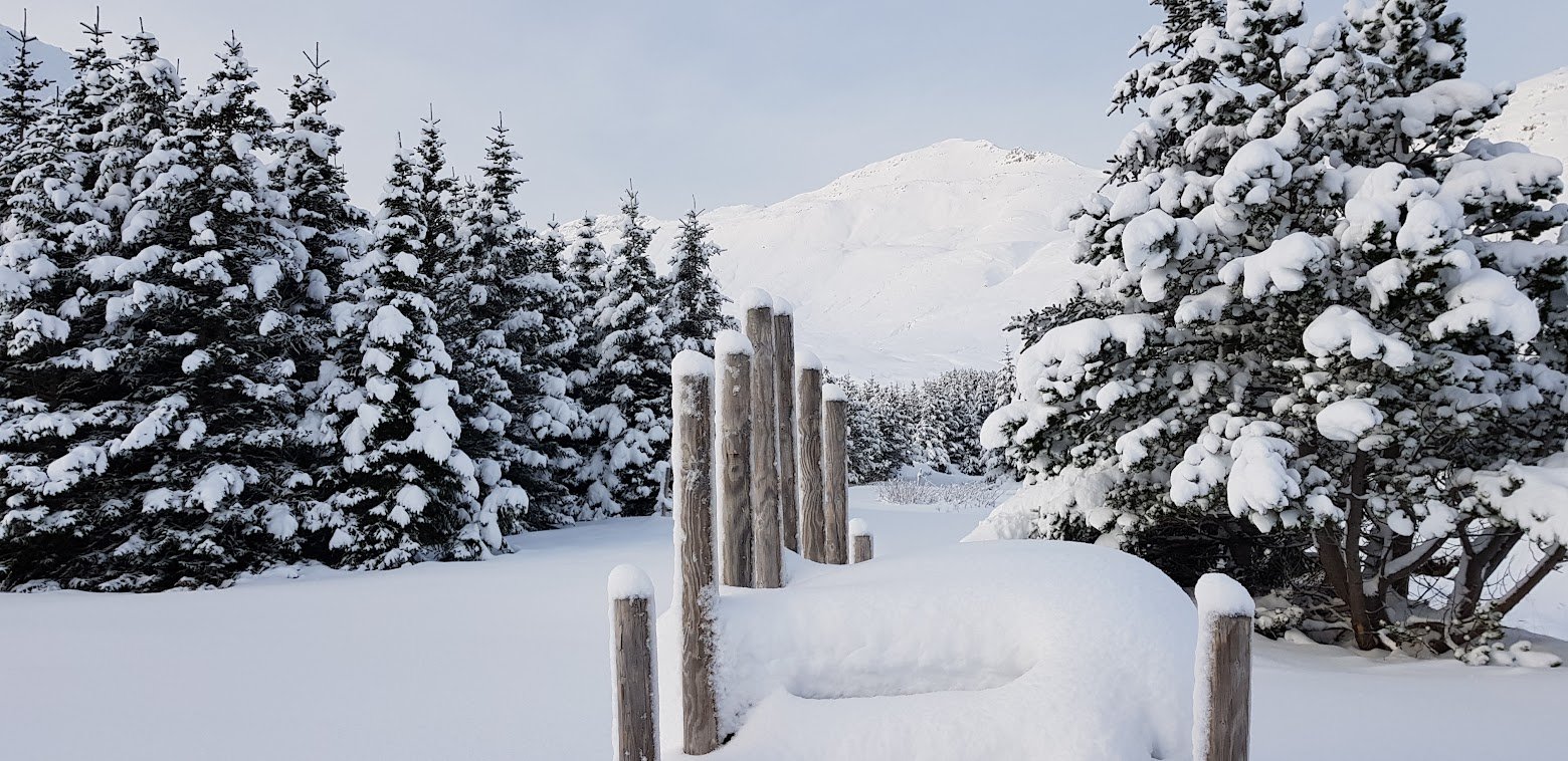 Hvað er næringarþerapía?
