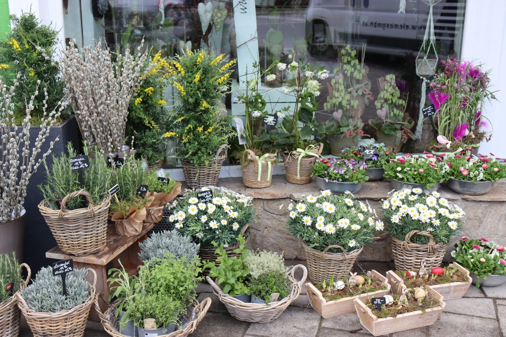 Blumenstands im Schaufenster eines Gartencenters mit bunten Schnittblumen, Topfpflanzen und Arrangements.