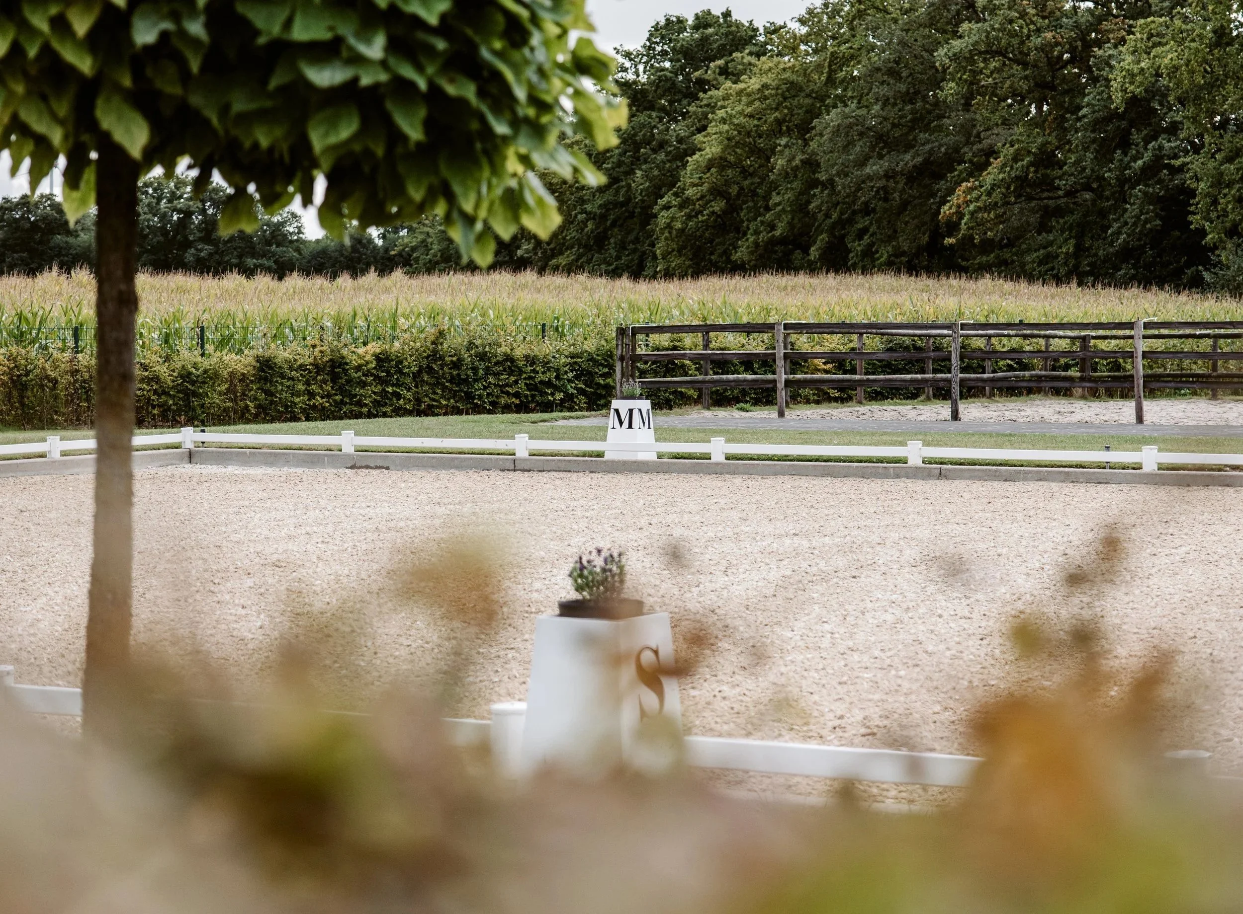CB Dressage, Coesfeld