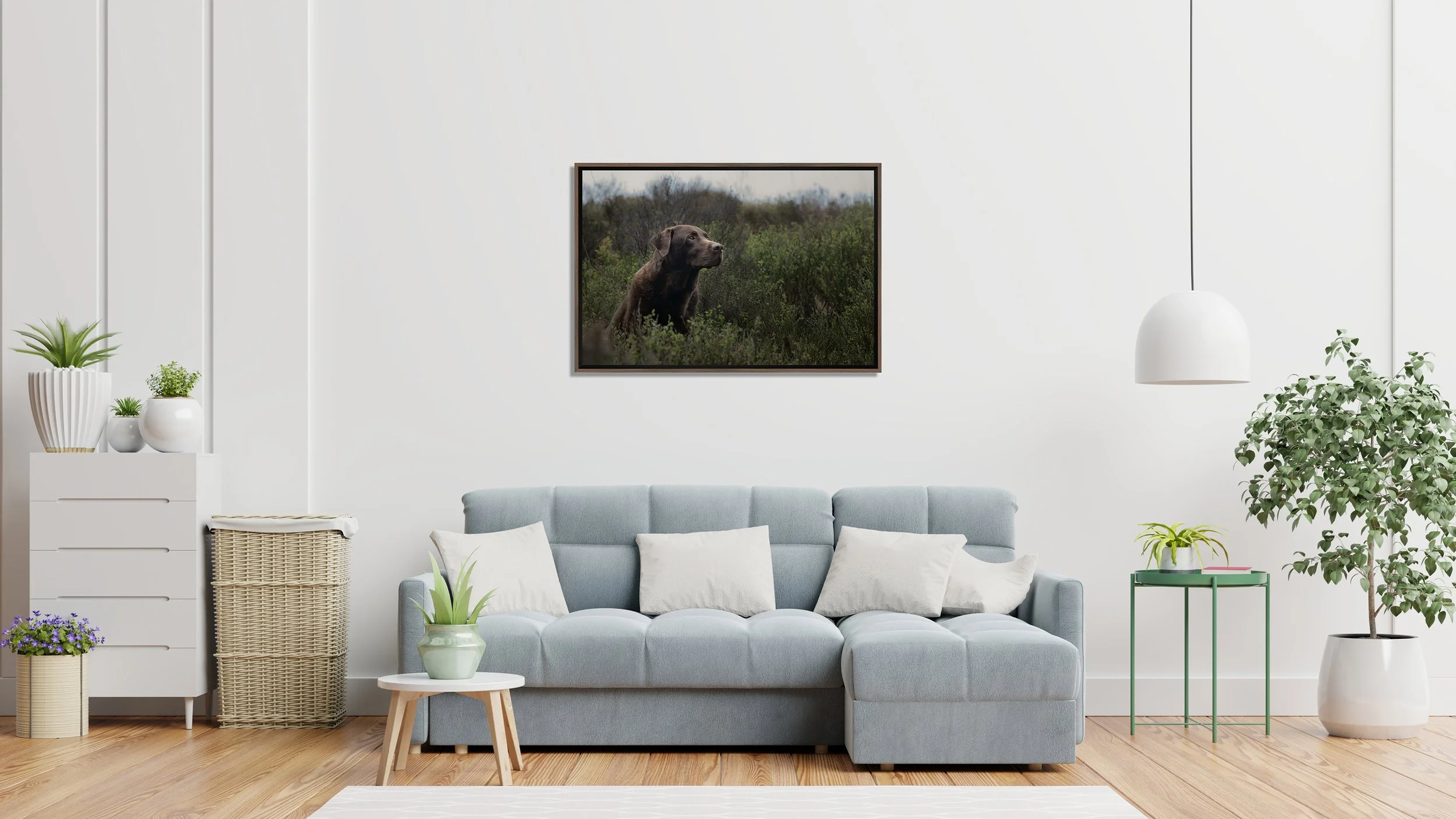 Living room with light blue sofa, white pillows, green plants, wicker and white drawers, wall art of a dog in nature, white pendant lamp, wooden floor, and white walls.