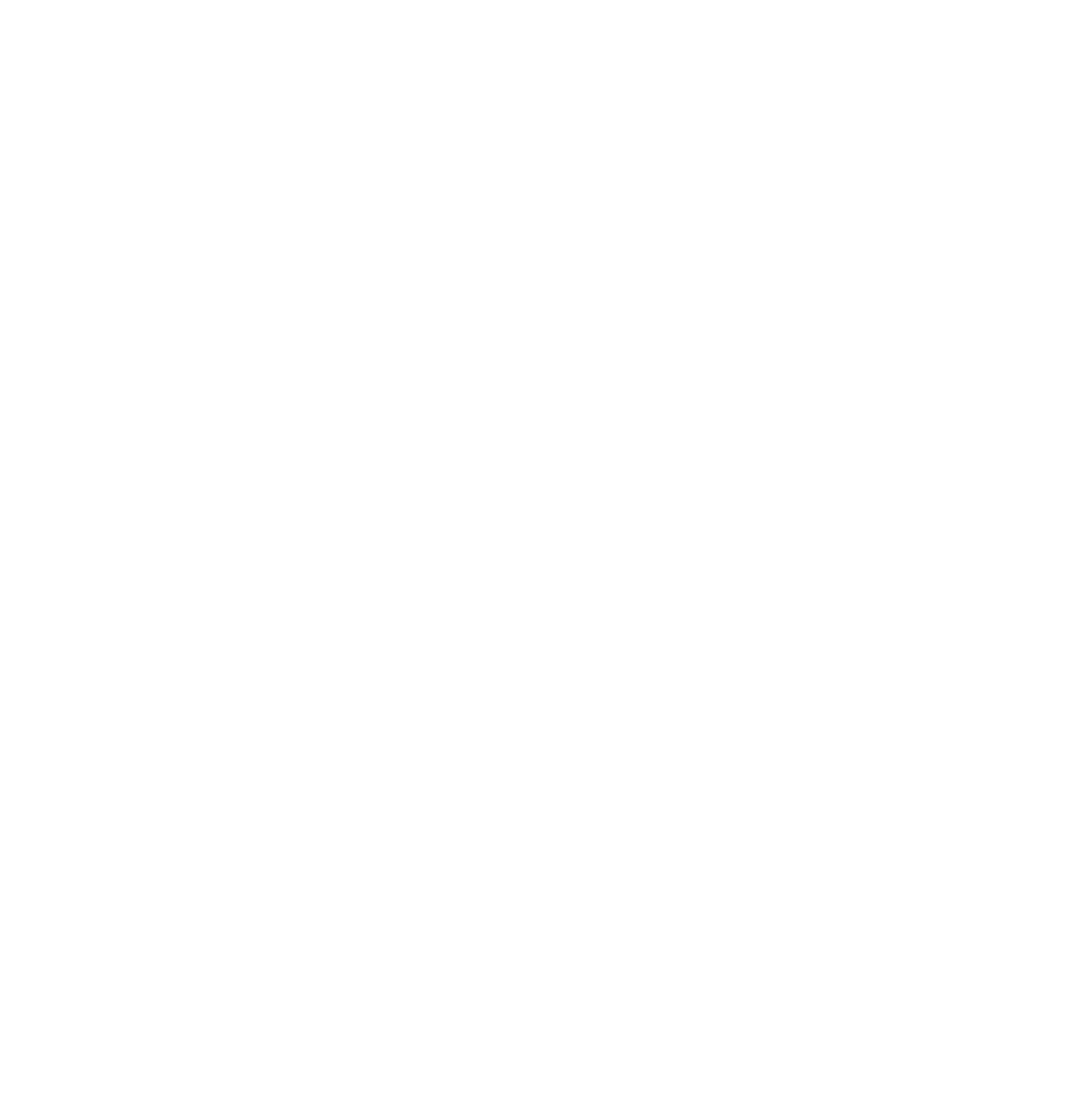 Matt Gladwin Dog Photography