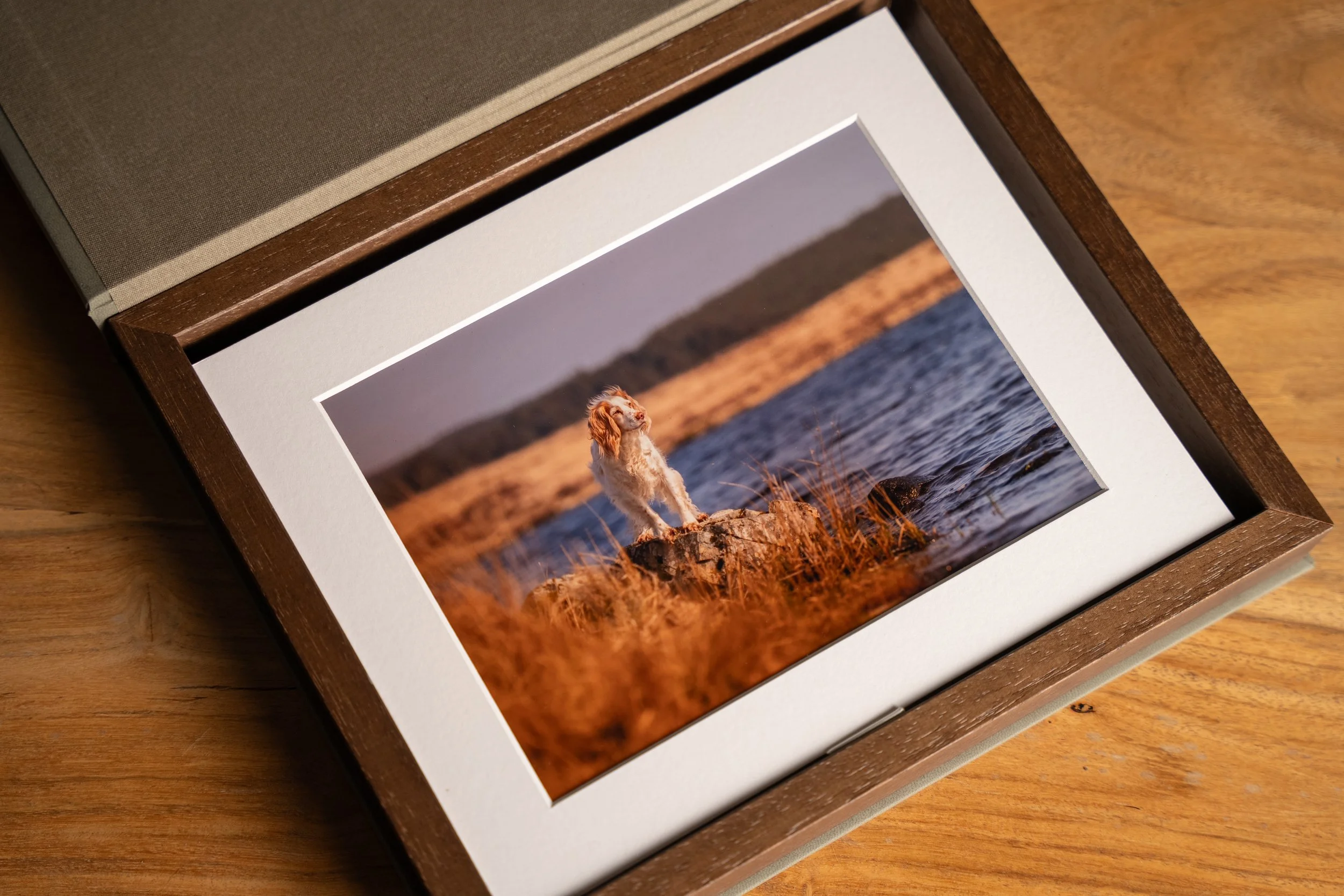 A framed photograph of a dog standing on a rock by a body of water with a landscape in the background.