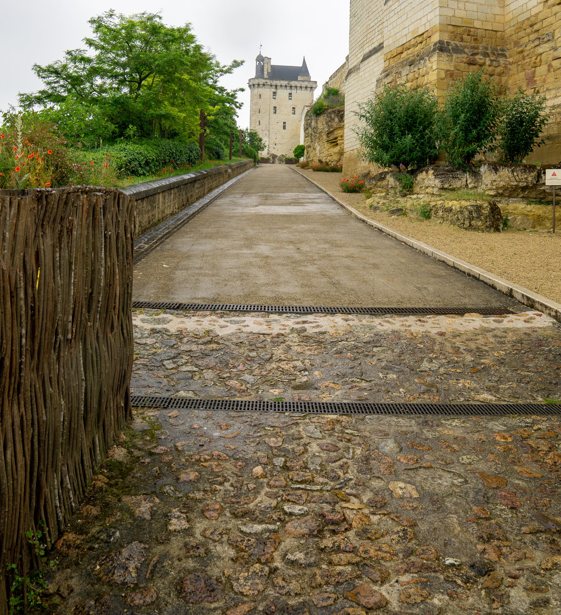 Chinon-3.jpg