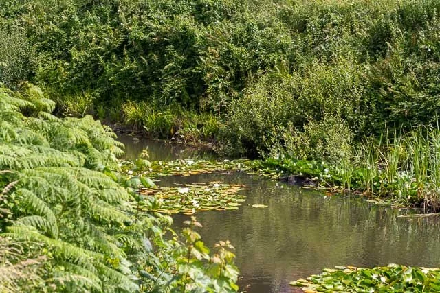 Cardiff Castle-1.jpg