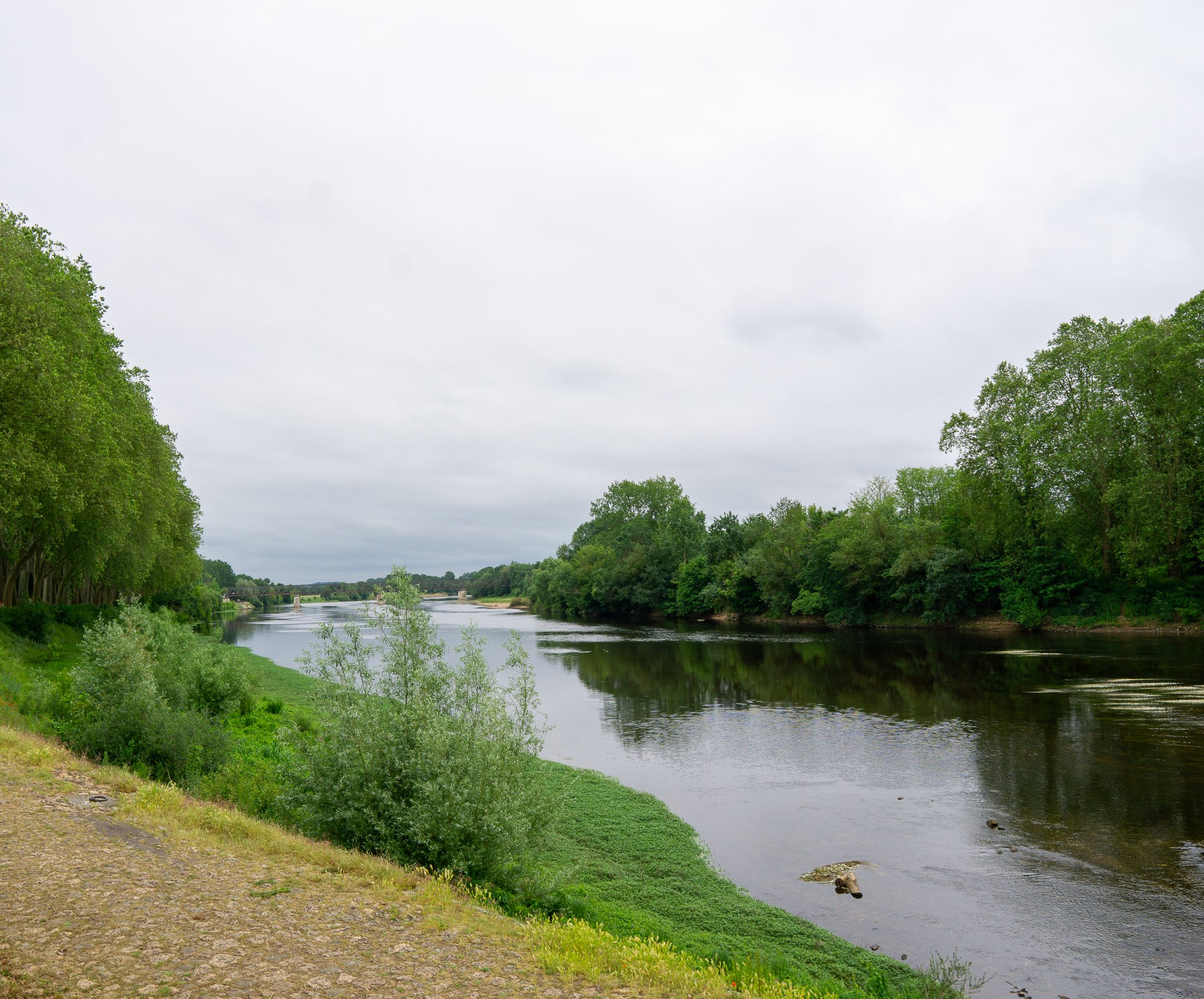 Chinon-17.jpg