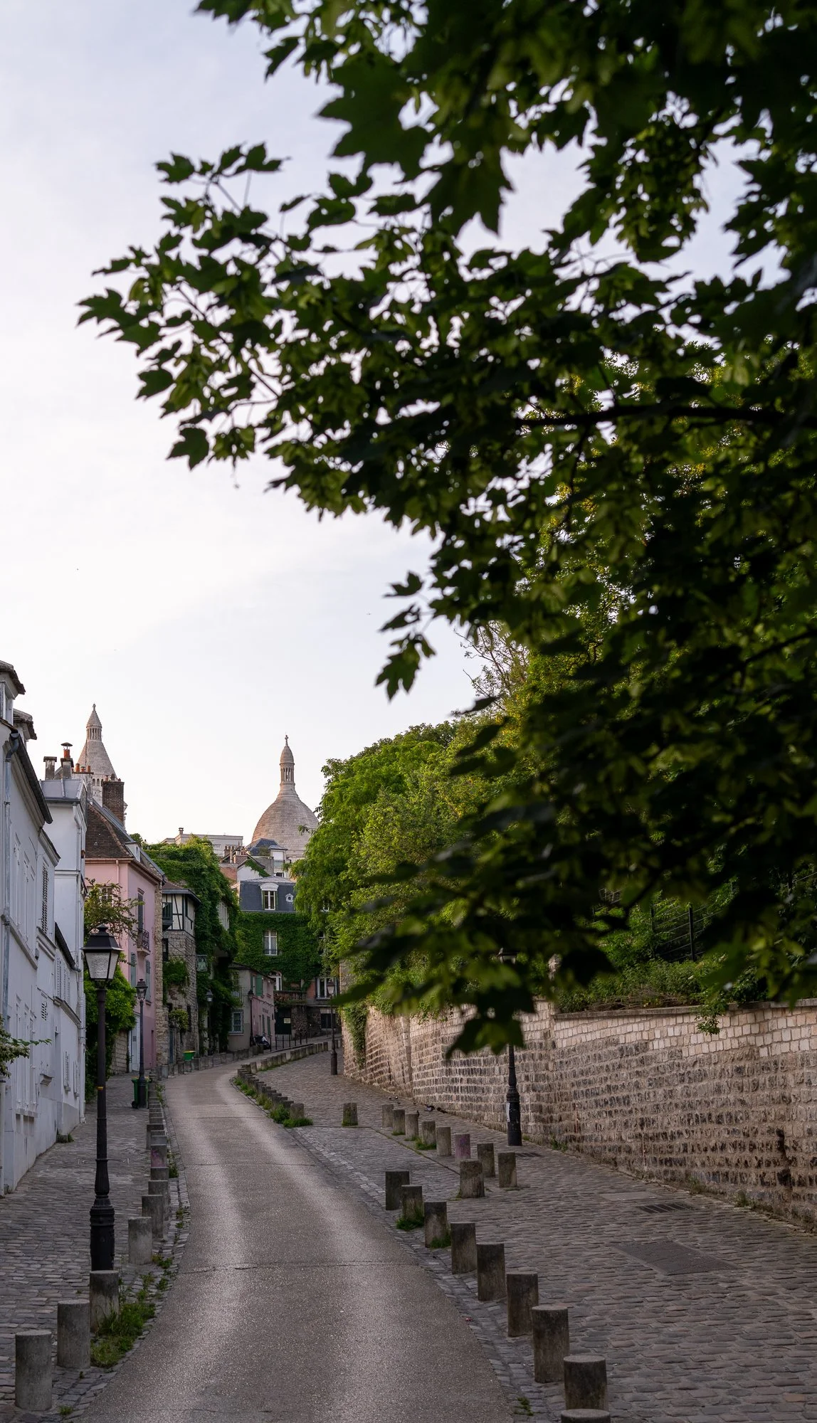 Paris 202605-24.jpg