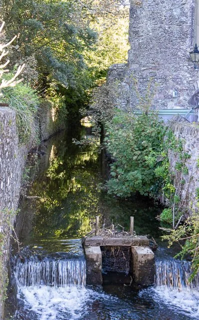 A small creek flowing through a stone-lined channel with a tiny waterfall and lush green foliage on the sides.