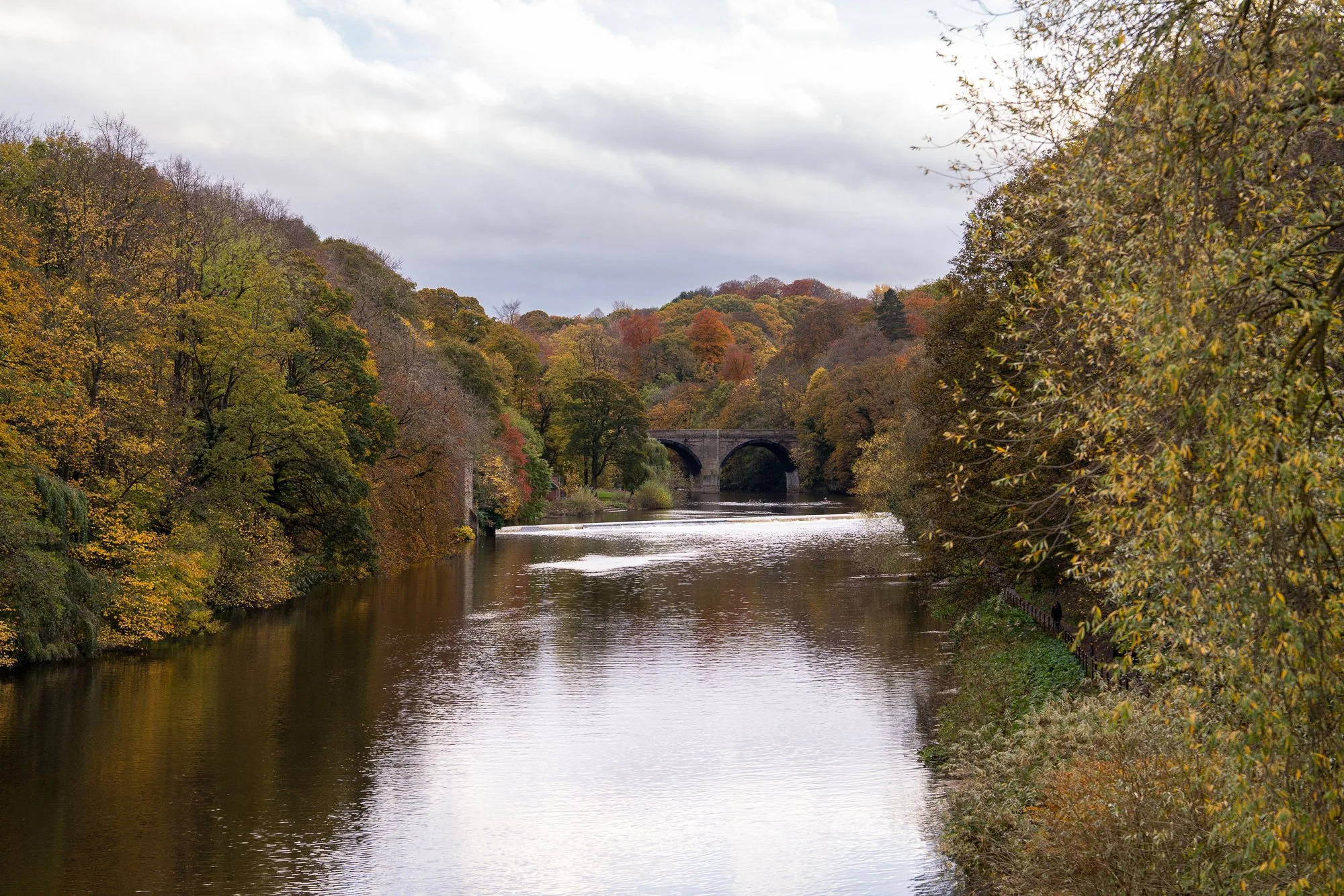 Durham-11.jpg