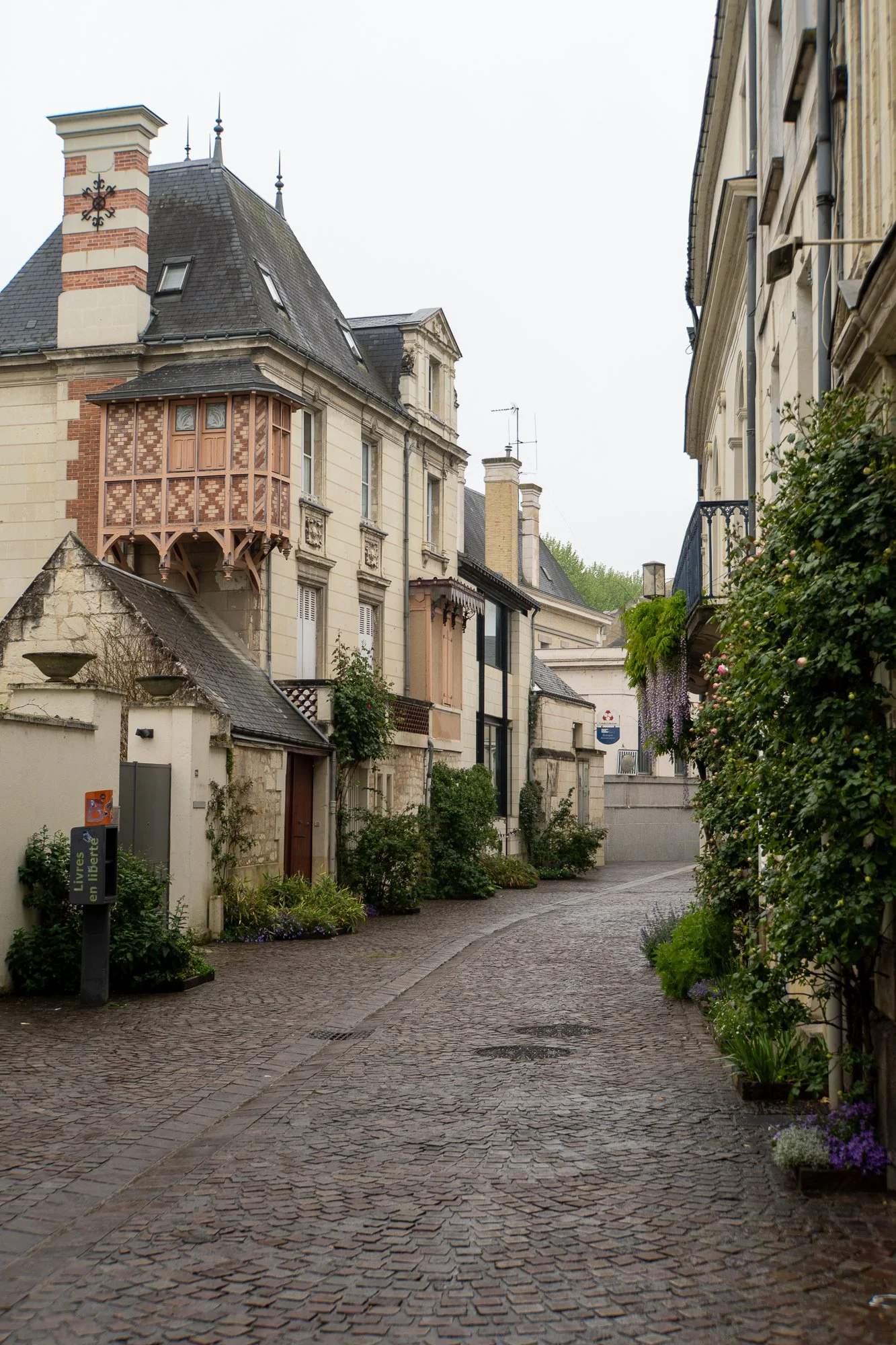 Chinon-18.jpg