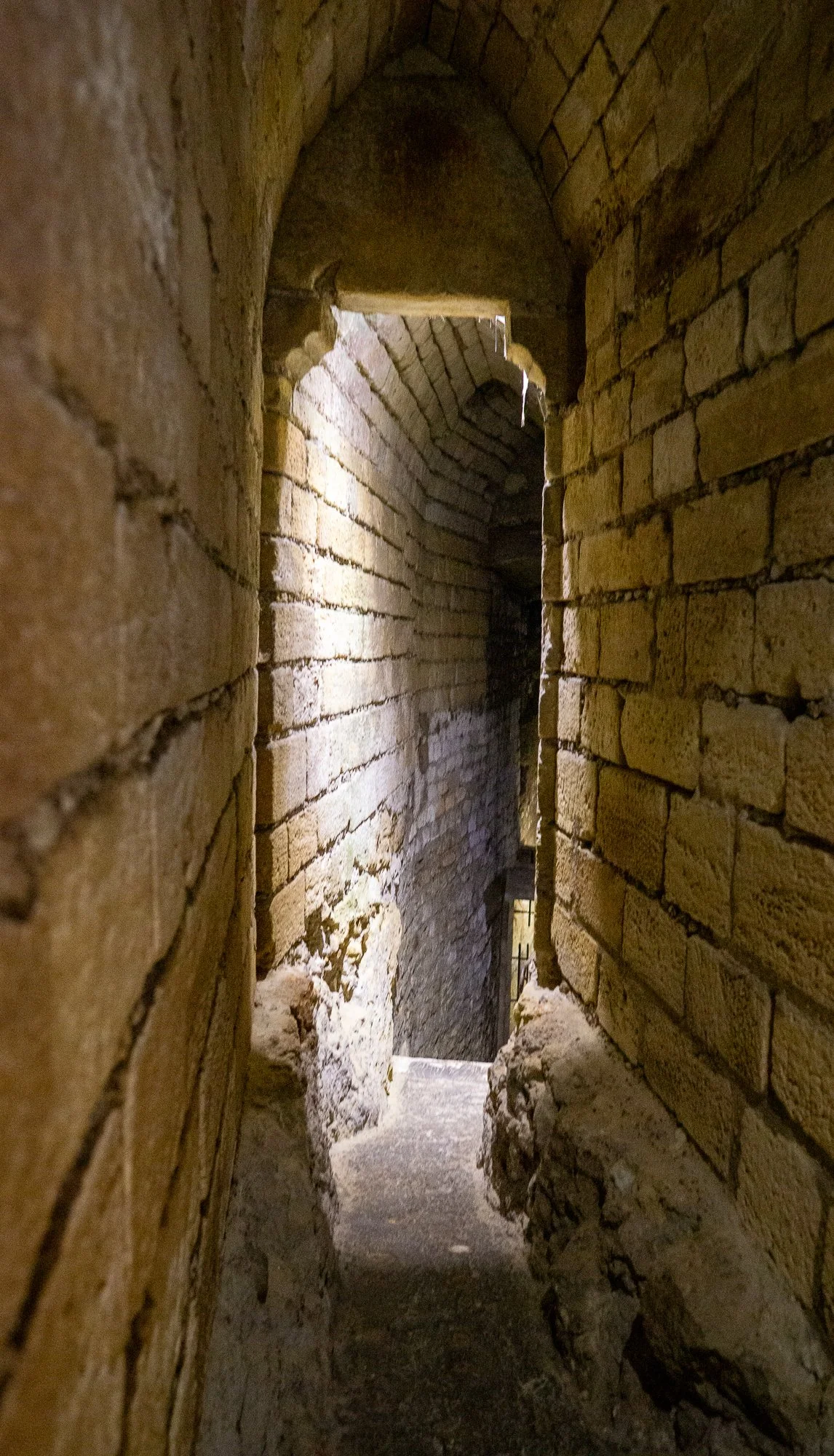 Chinon-12.jpg