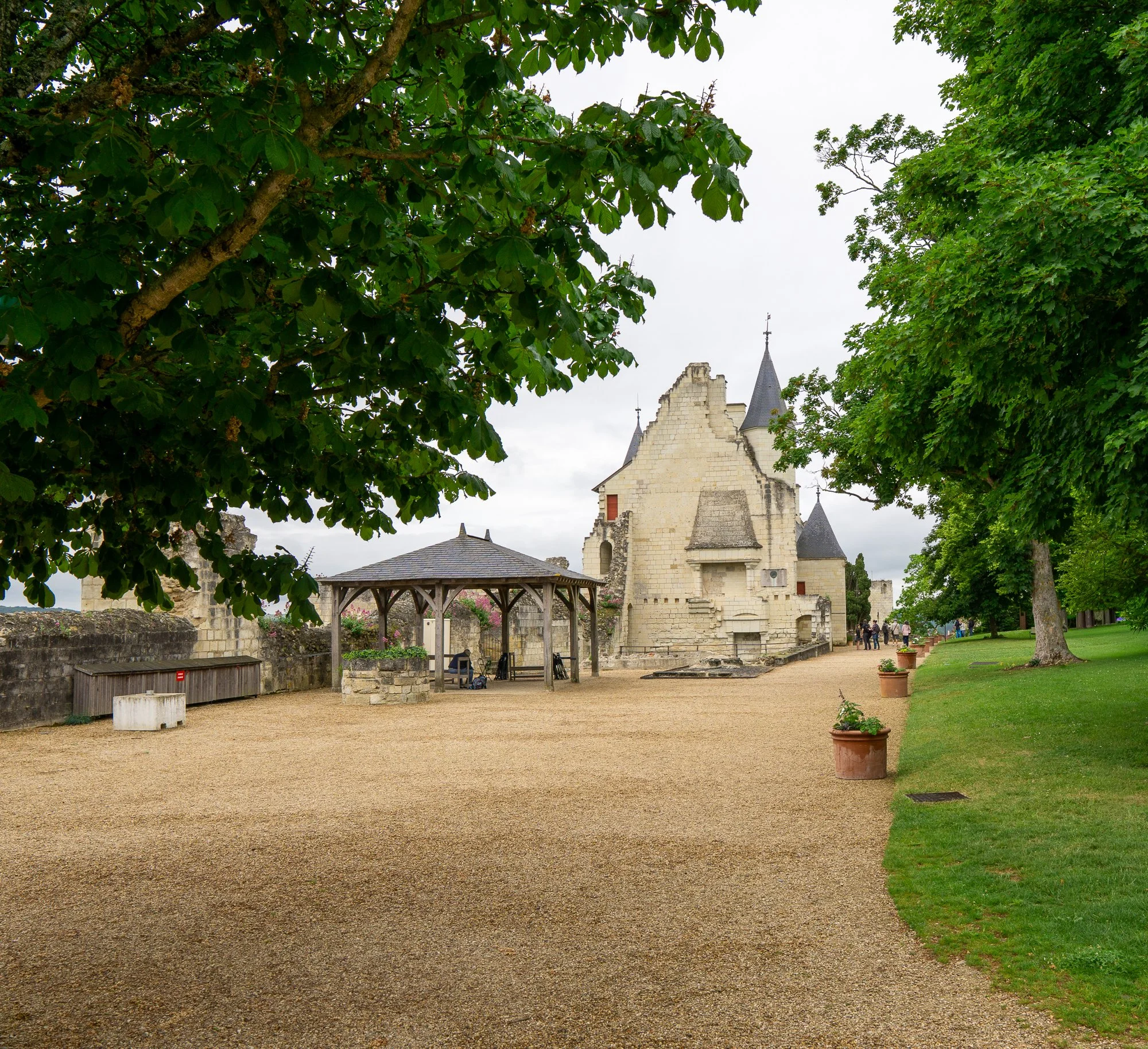 Chinon-14.jpg