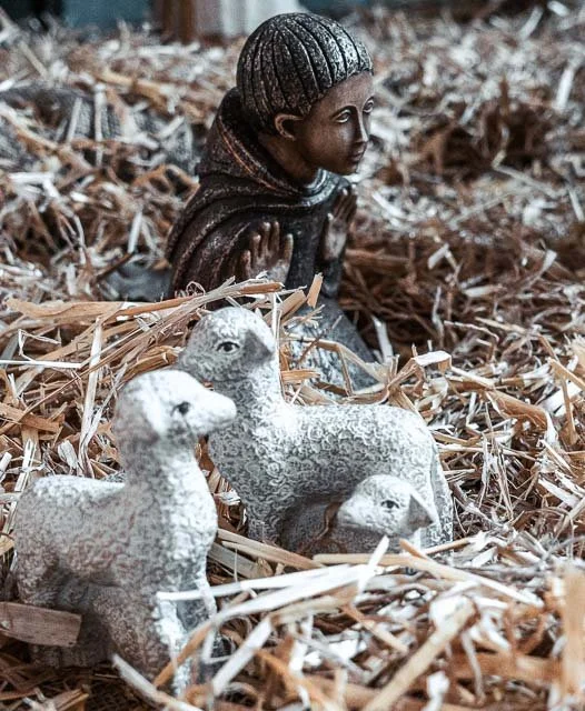A sculpture of a person wearing a knit cap and coat, crouching among dried corn stalks, surrounded by ceramic lambs.