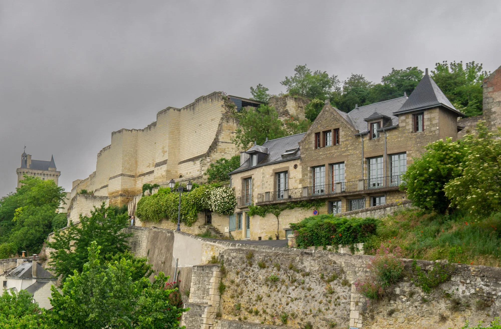 Chinon-2.jpg