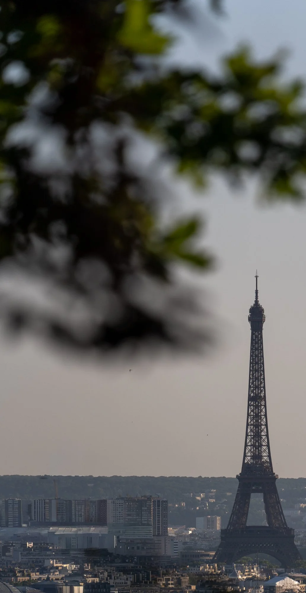 Paris 202605-15.jpg