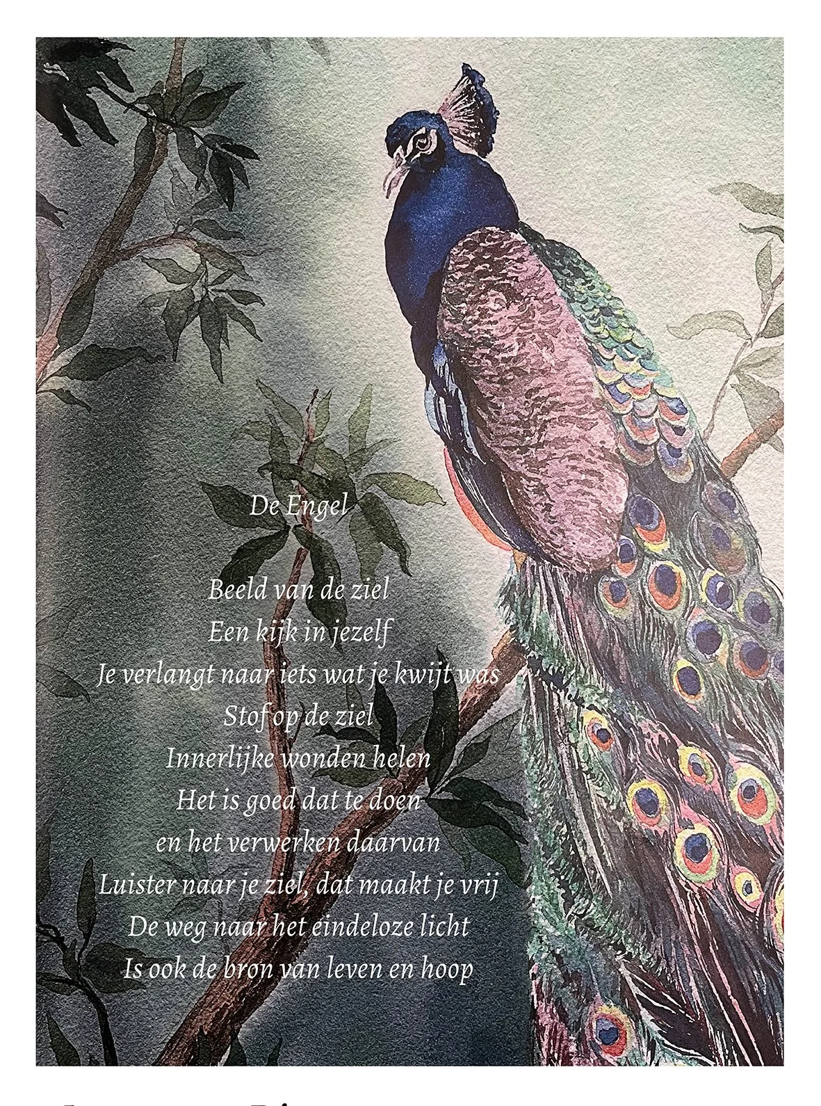 Jeanne van Diessen_exp0.jpg