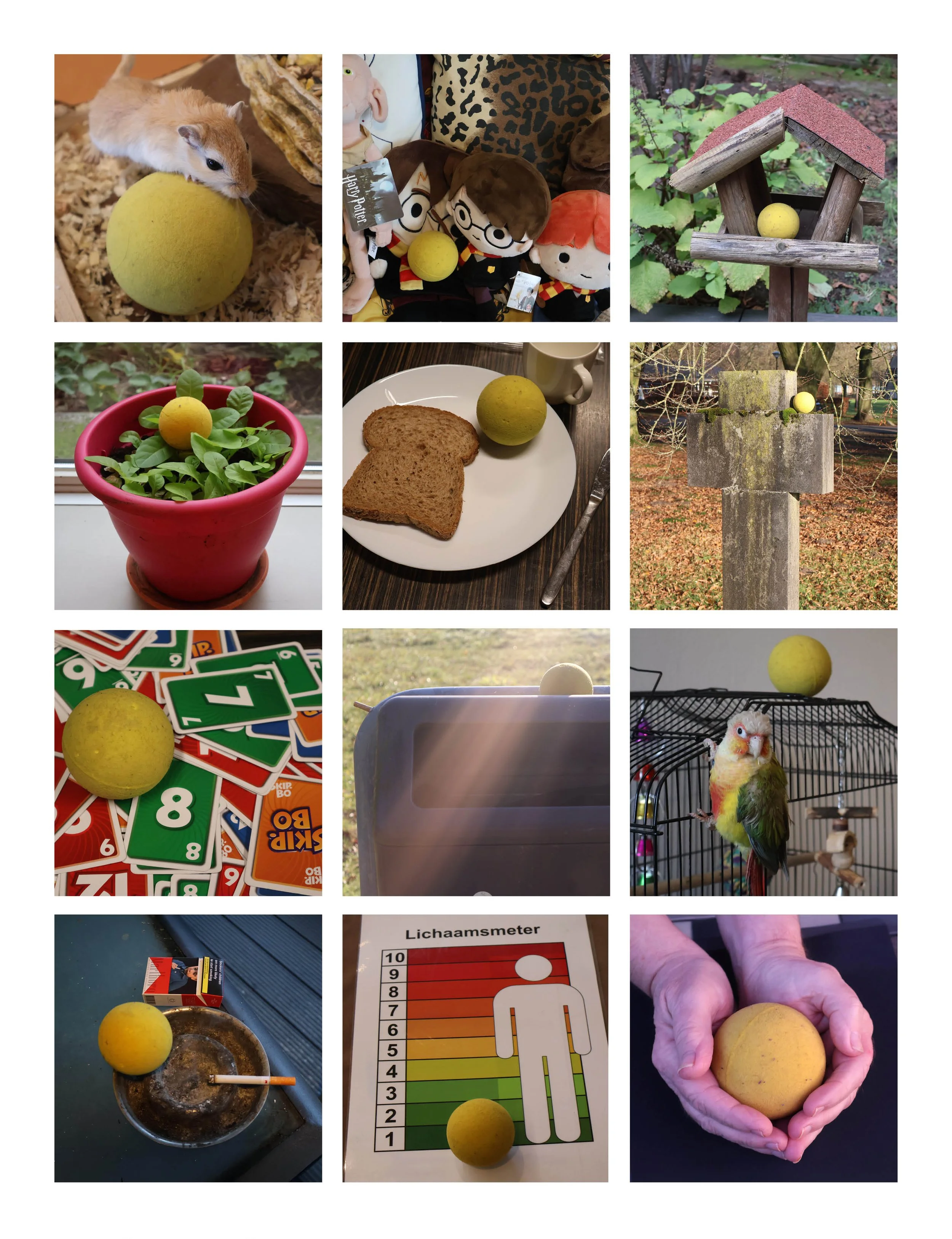 Elian Pelzer_expo_2.jpg