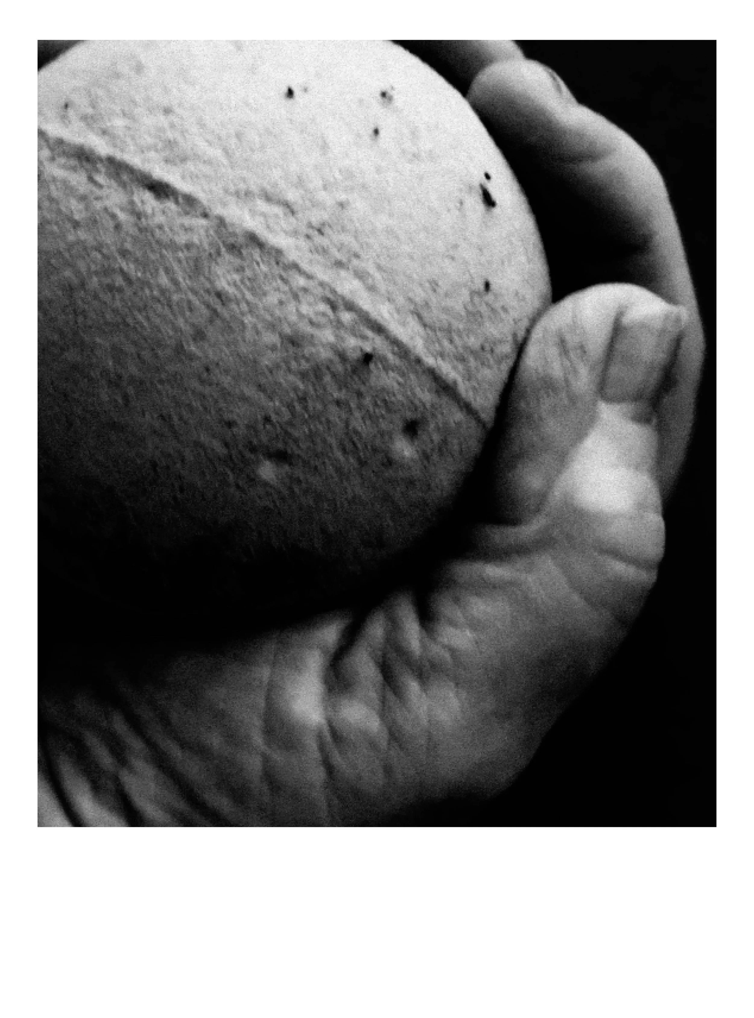 Elian Pelzer_expo_1.jpg