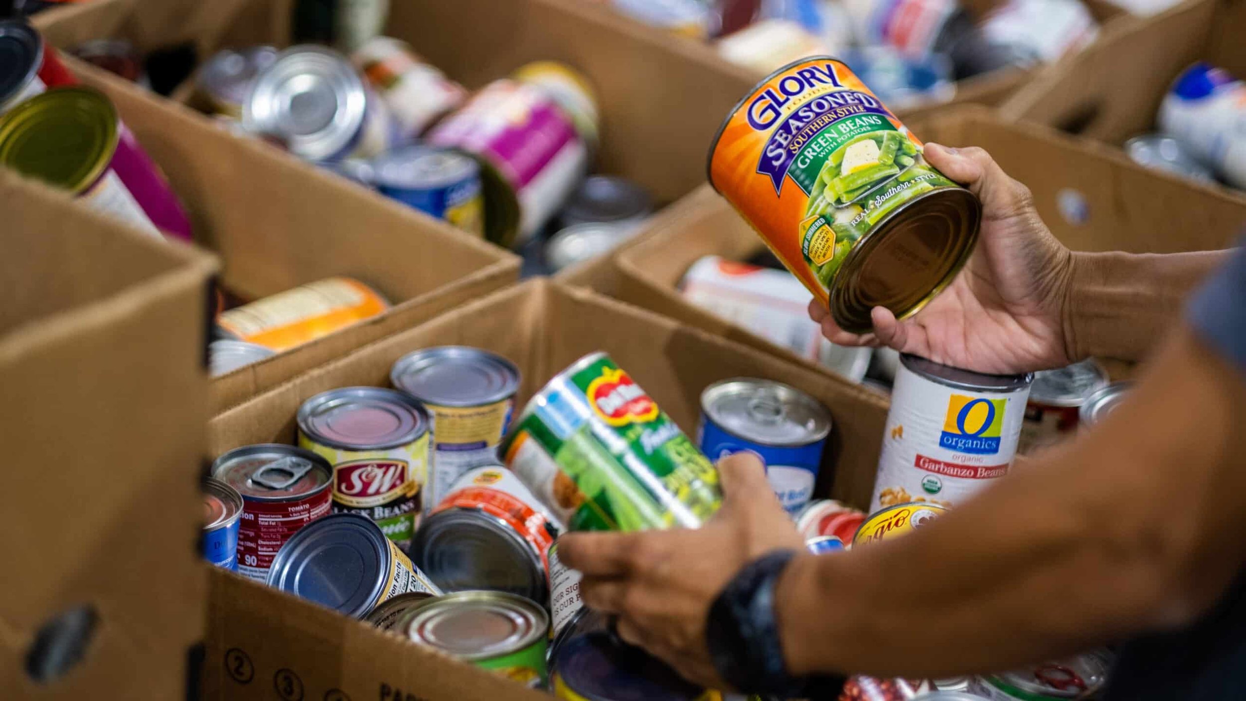 Person sorting through cans of food in a cardboard box at a food bank or pantry.