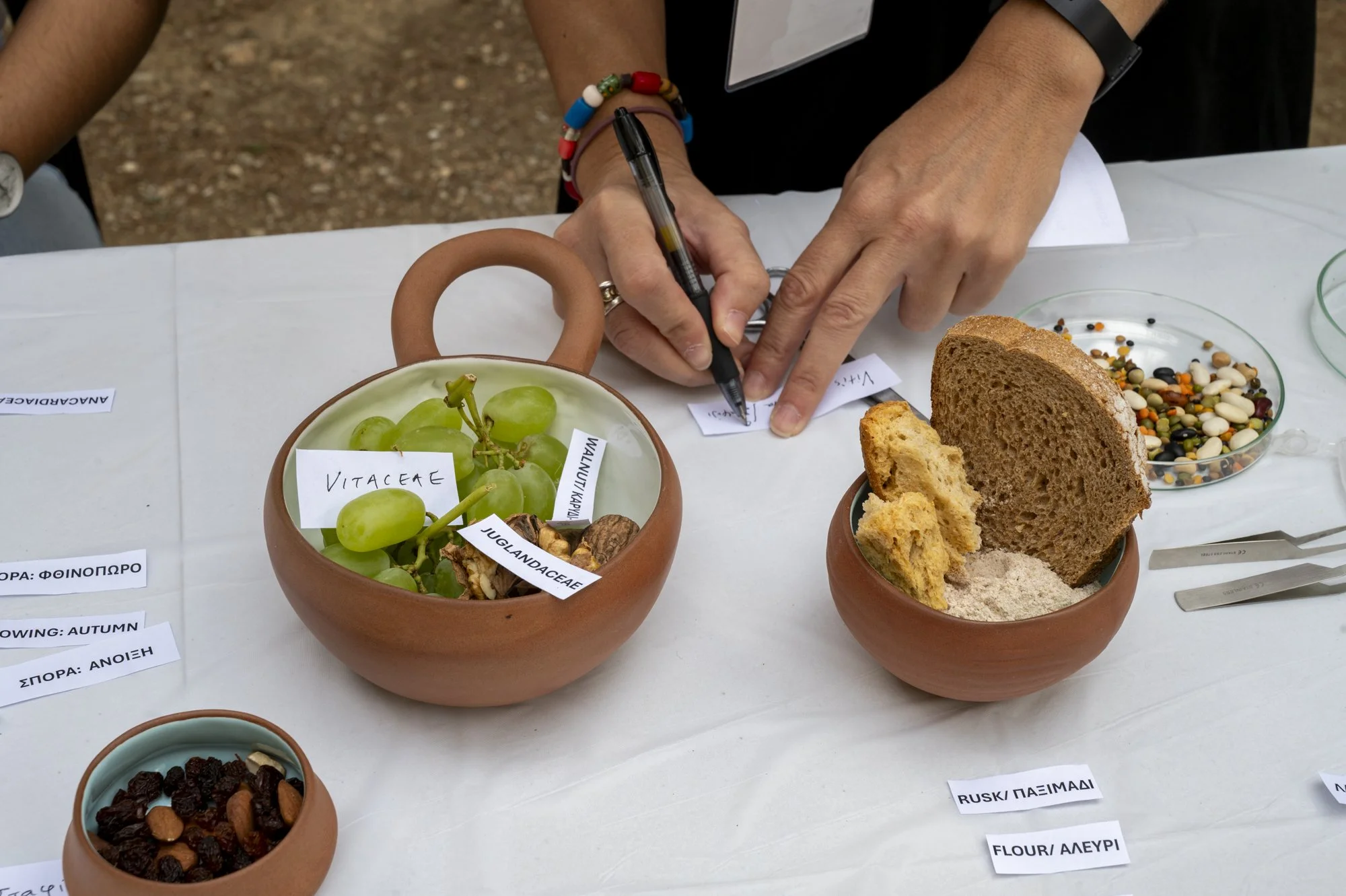 Person writing on a piece of paper on a table with bowls of grapes, mixed beans, dried fruit, and labels for various grains and seeds.