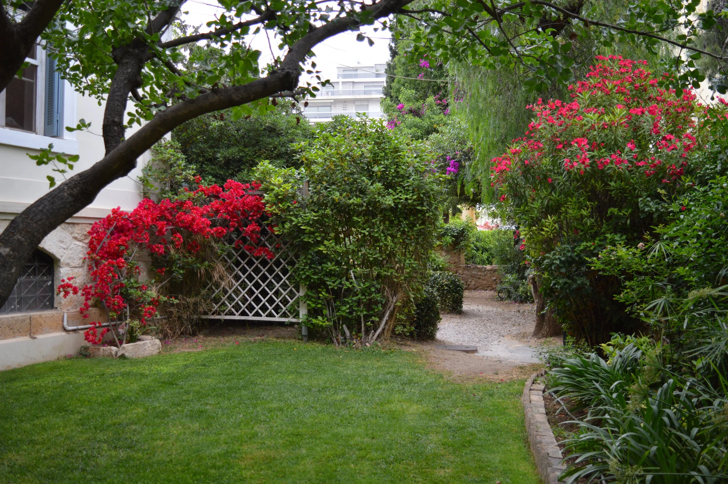 A lush garden with a well-kept green lawn, colorful flowering bushes, trees, and a gravel pathway leading to a backyard of a house.