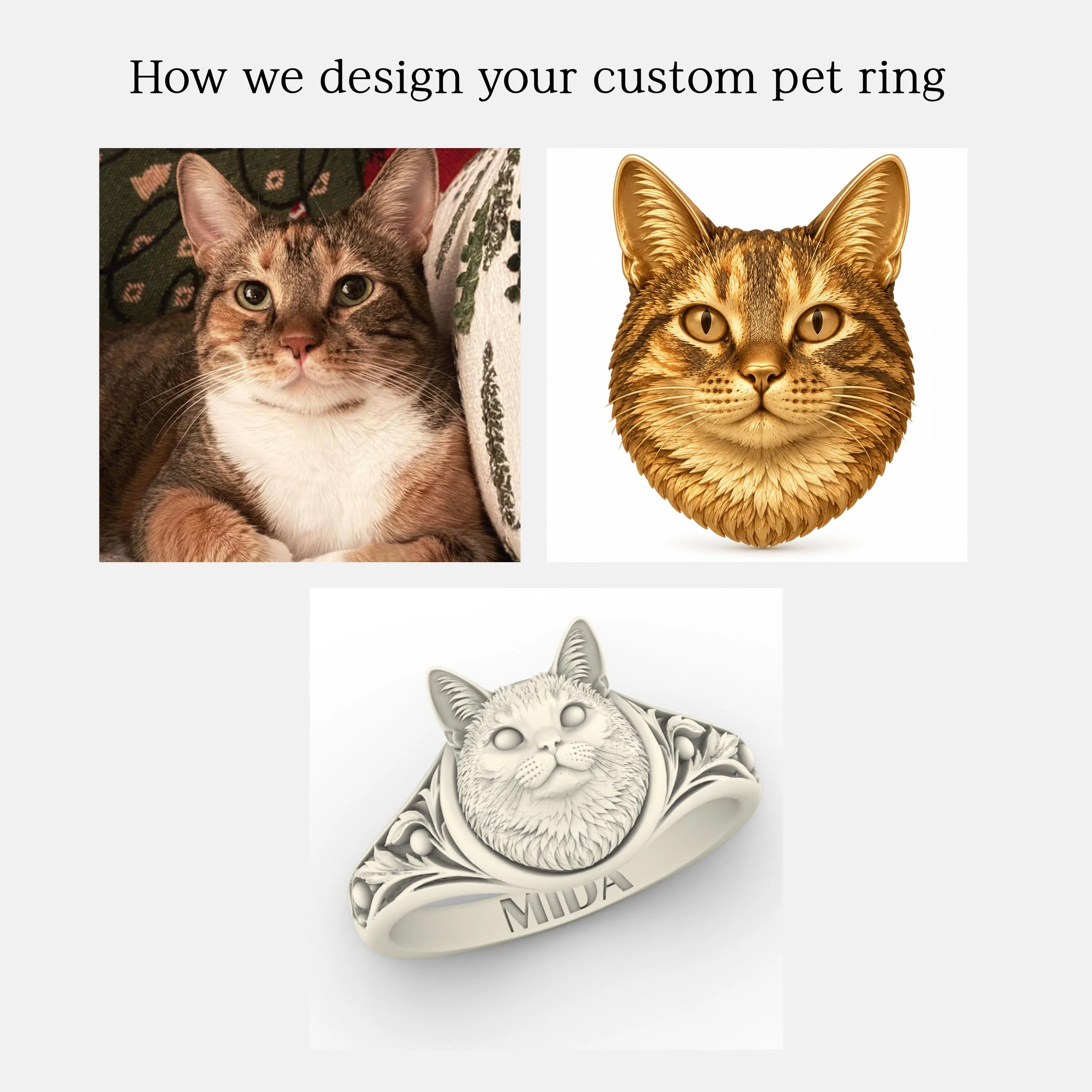catprocess2.jpg