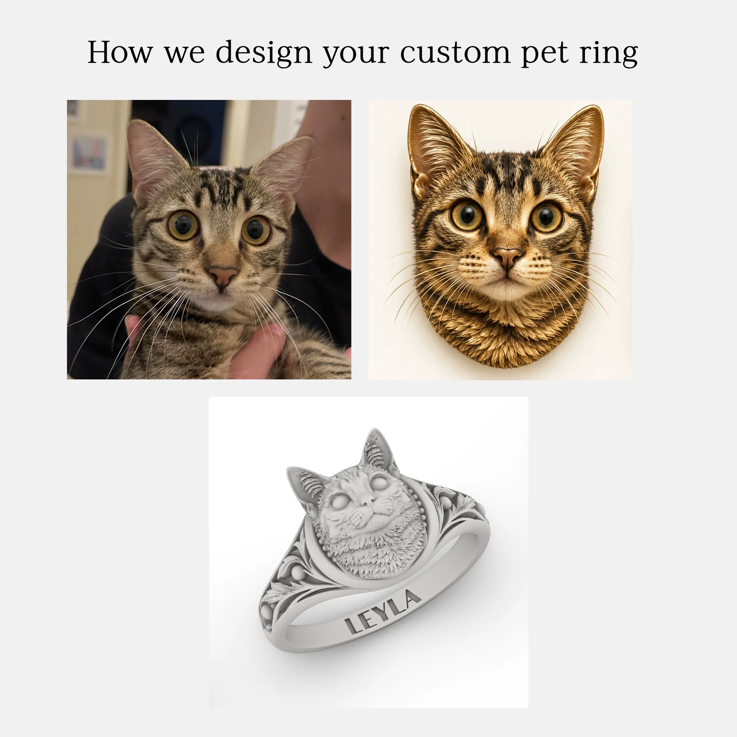 catprocess.jpg