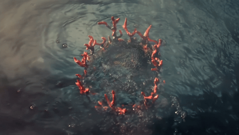 Catherine Ladd Sizzle 2025 v4 7.gif