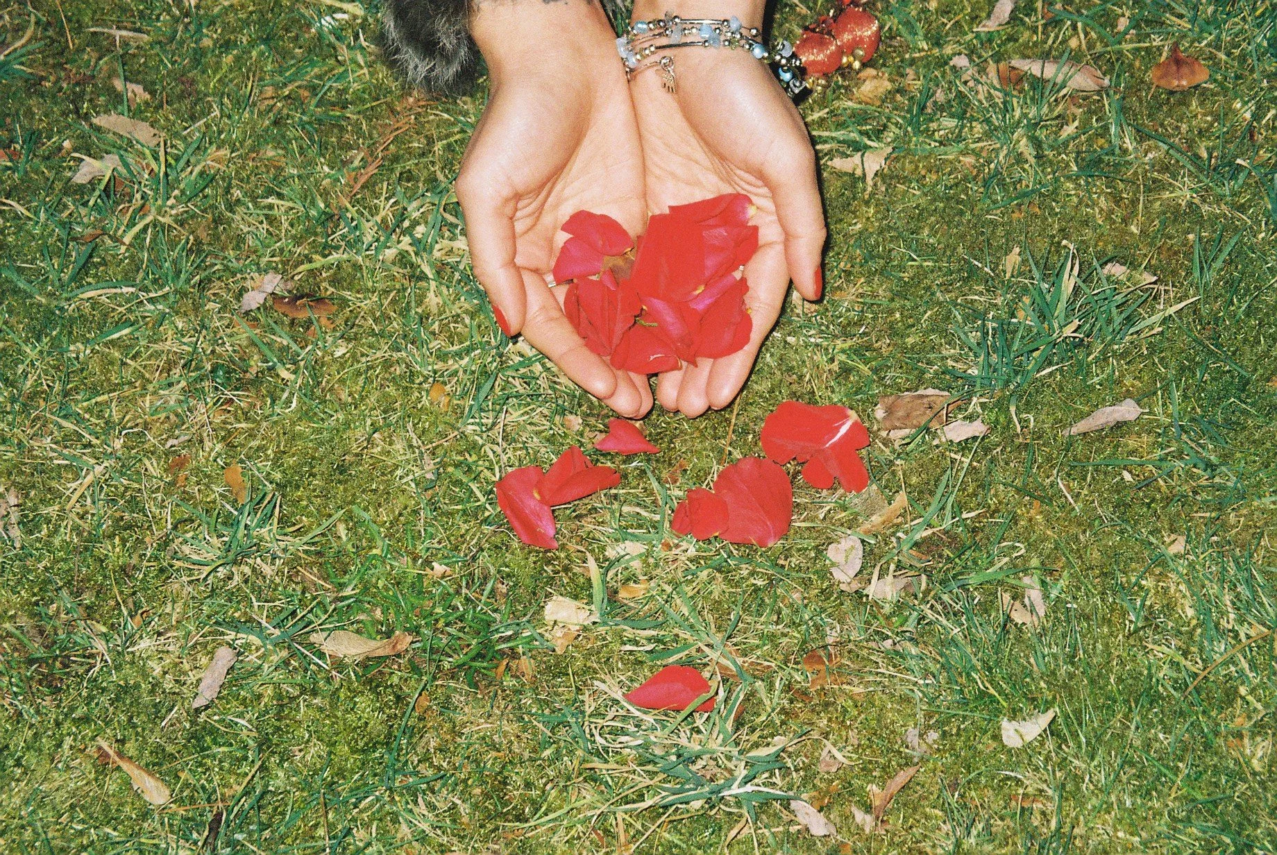 AB5CBF06-C493-4AF3-BE55-F96764567B9E 2.JPG