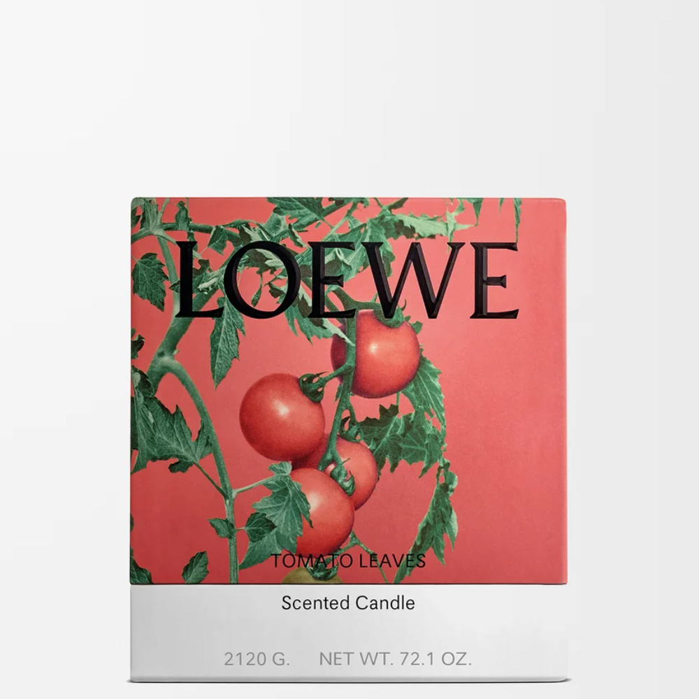 P000250X41_7100_1P-1000x1000 (1).png