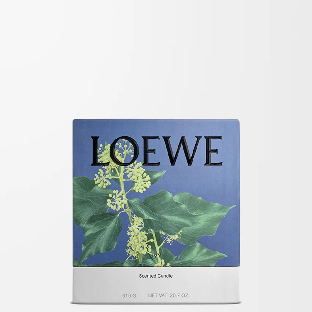 P000250X29_7200_1P-1000x1000 (1).png