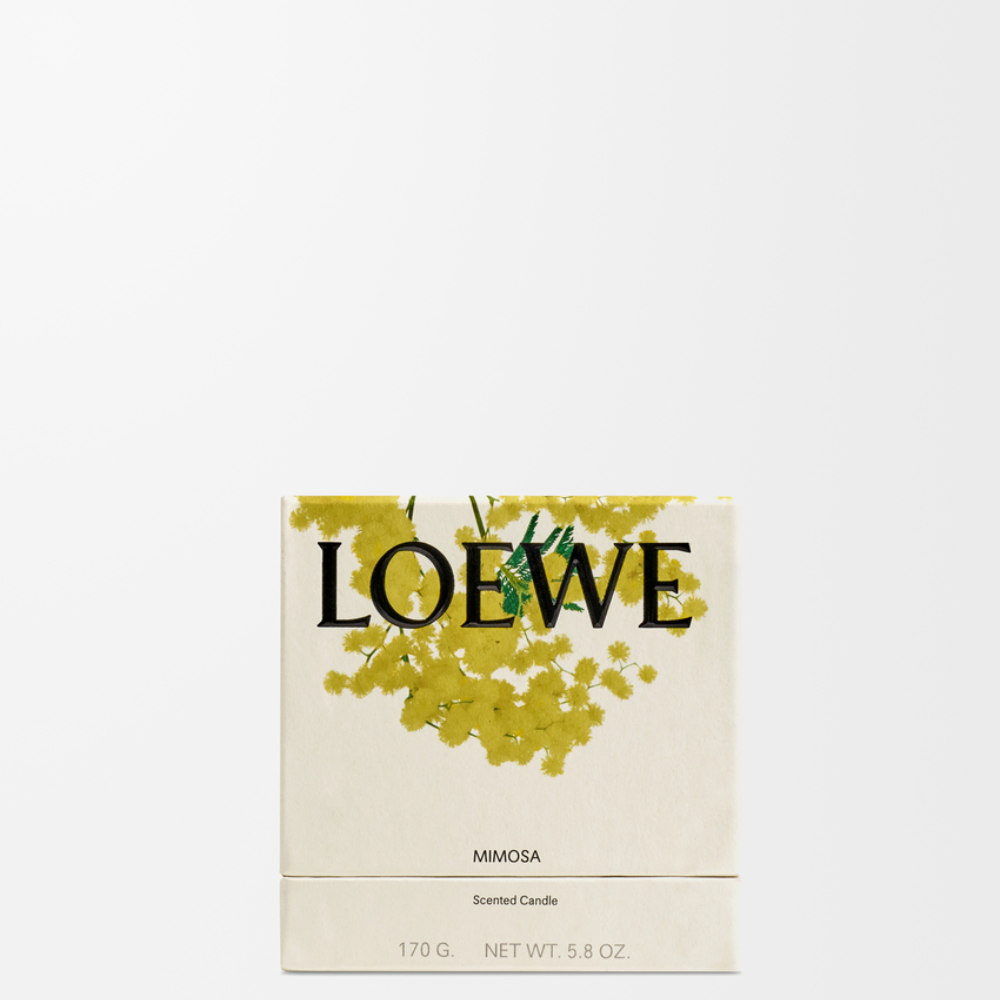 VCANJ77X07_8209_1P-1000x1000 (1).png