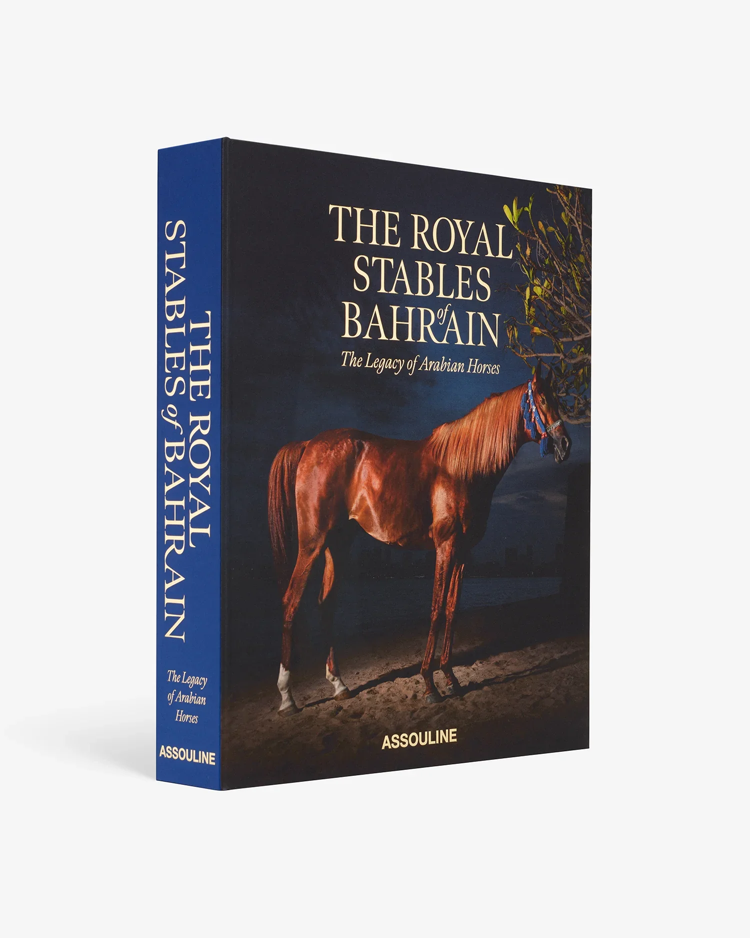 TheRoyalStablesBahrain_Ultimate_01.webp