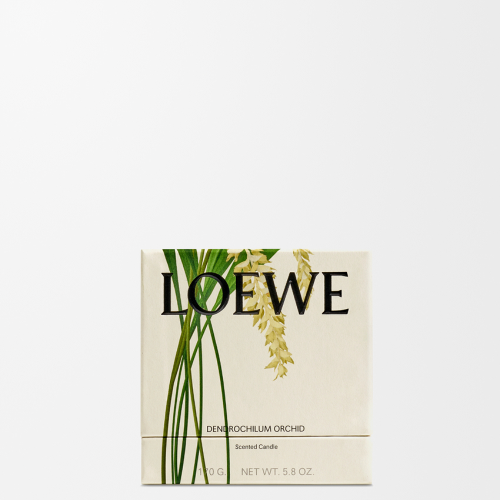 VCANJ77X05_1100_1P-1000x1000 (1).png