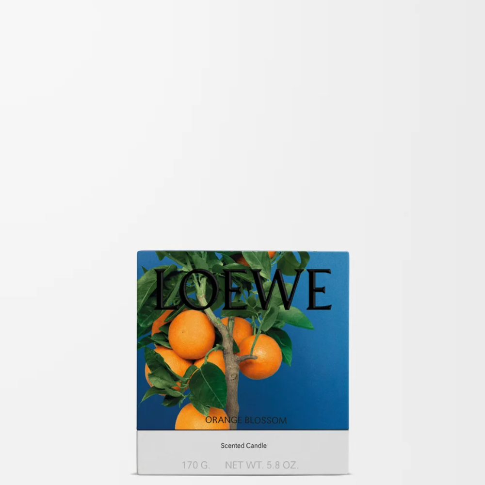 P731J80X04_8692_1P-1000x1000 (1).png