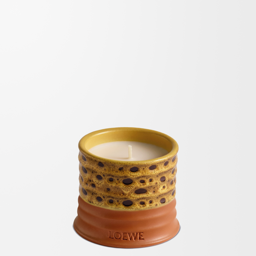 LOEWE- Mimosa scented candle