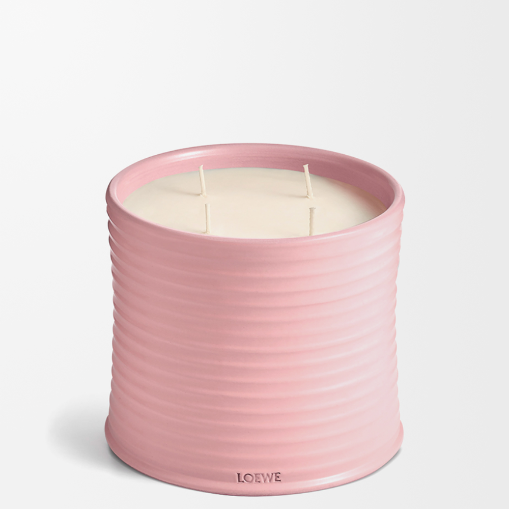 LOEWE- Large Ivy candle