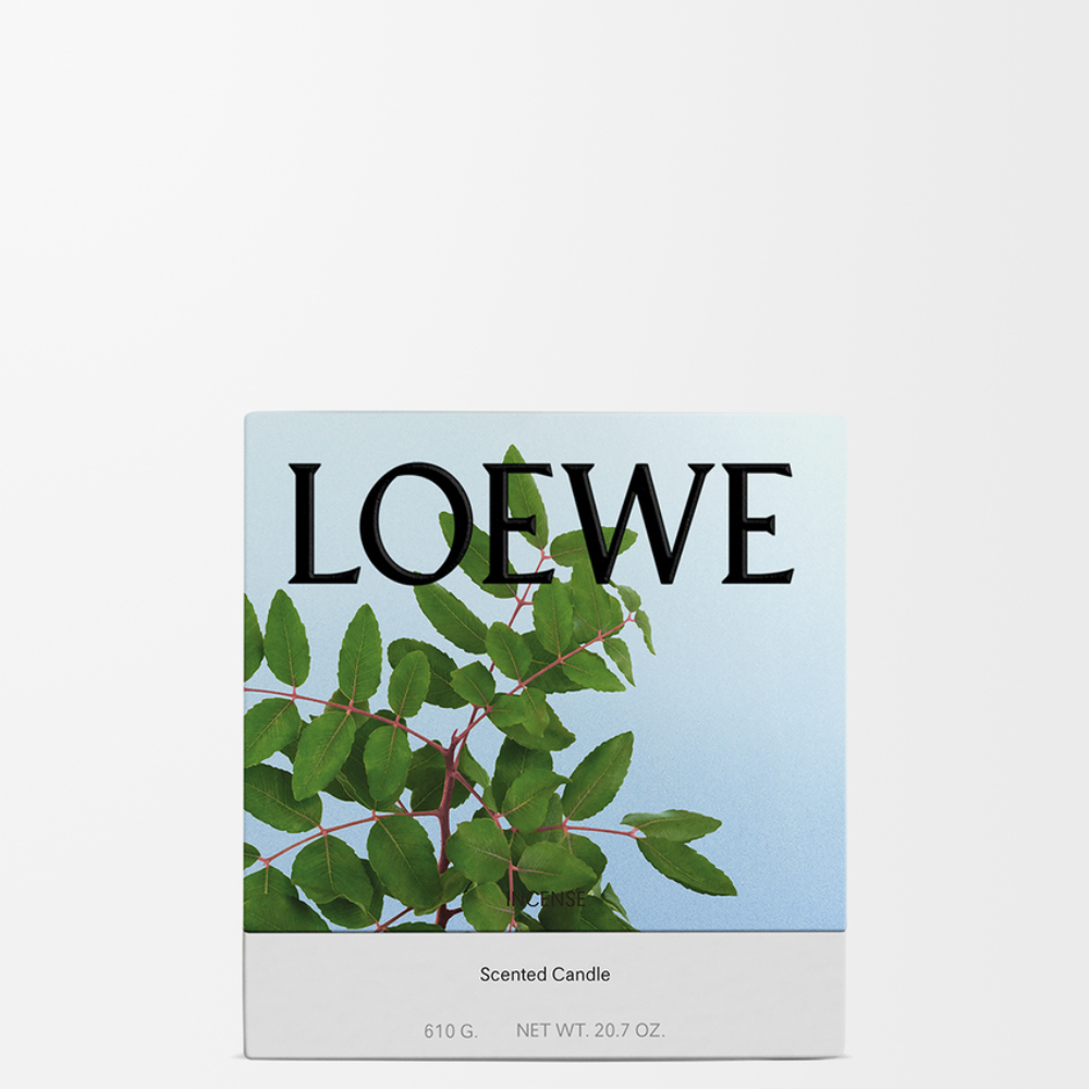 V731J78X01_5120_1P-1000x1000 (1).png