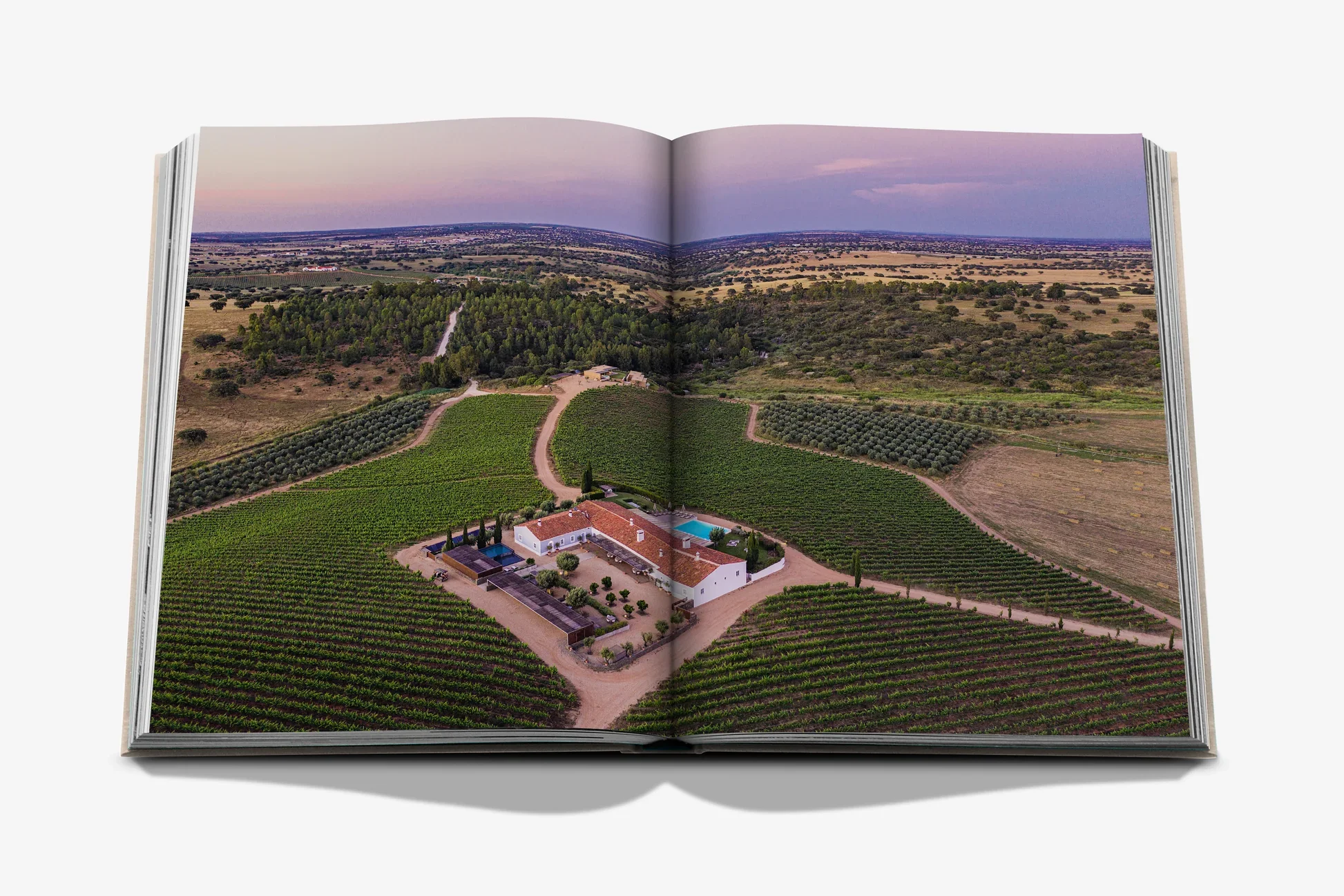 MALHANDINHA_SPREAD_GREY_4 (1).webp