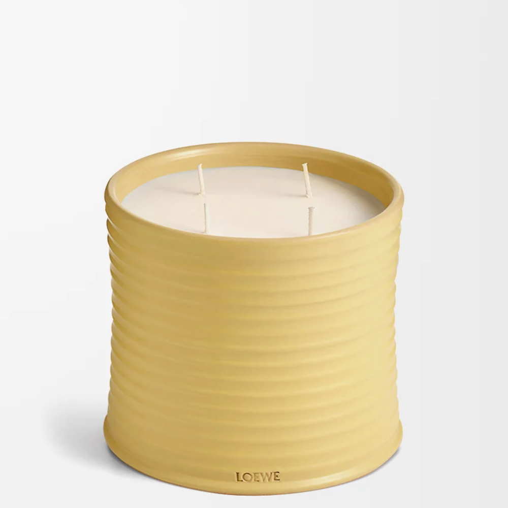 P000250X38_8100_1F (1)-1000x1000.png