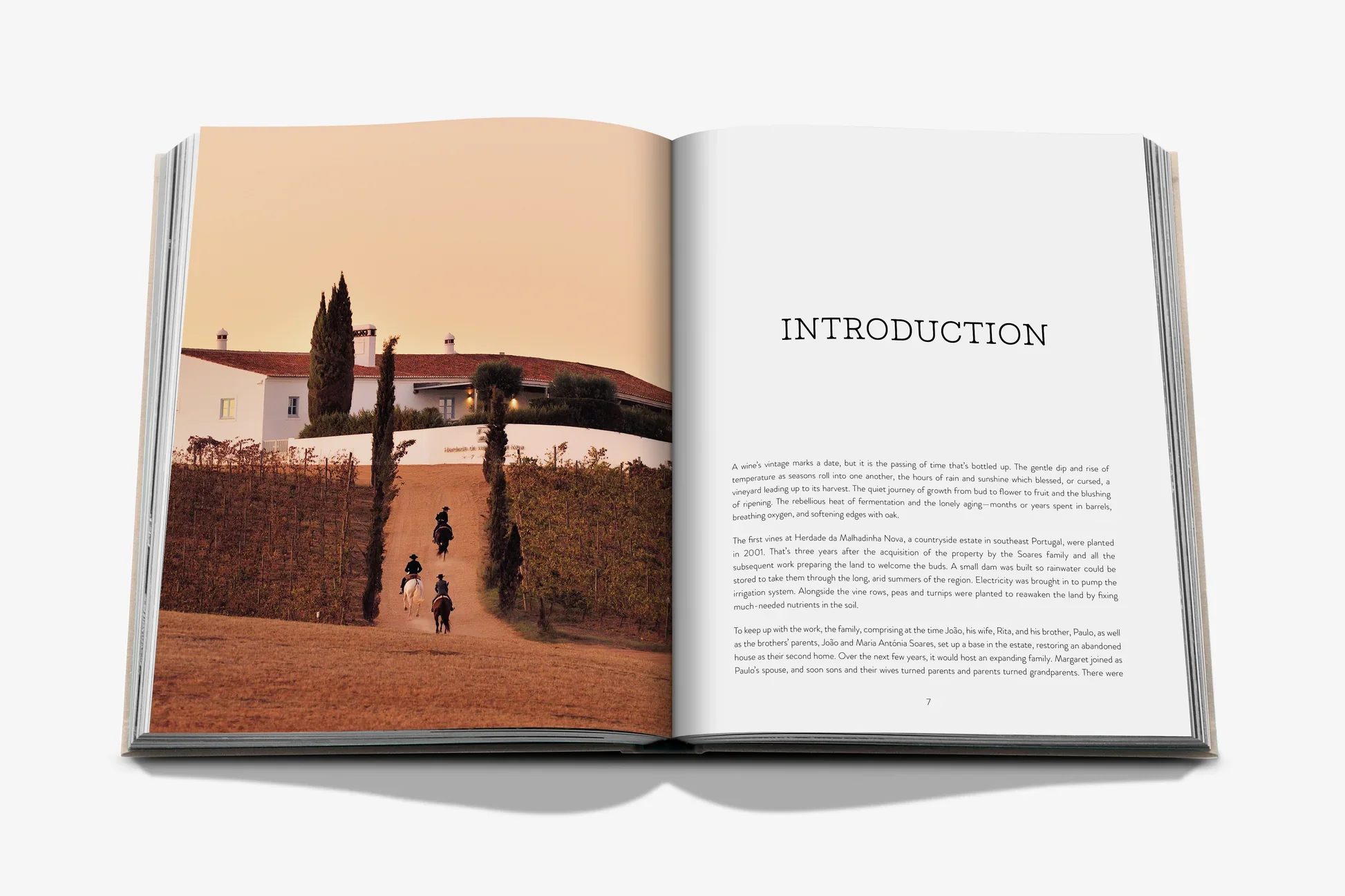 MALHANDINHA_SPREAD_GREY_1 (1).webp