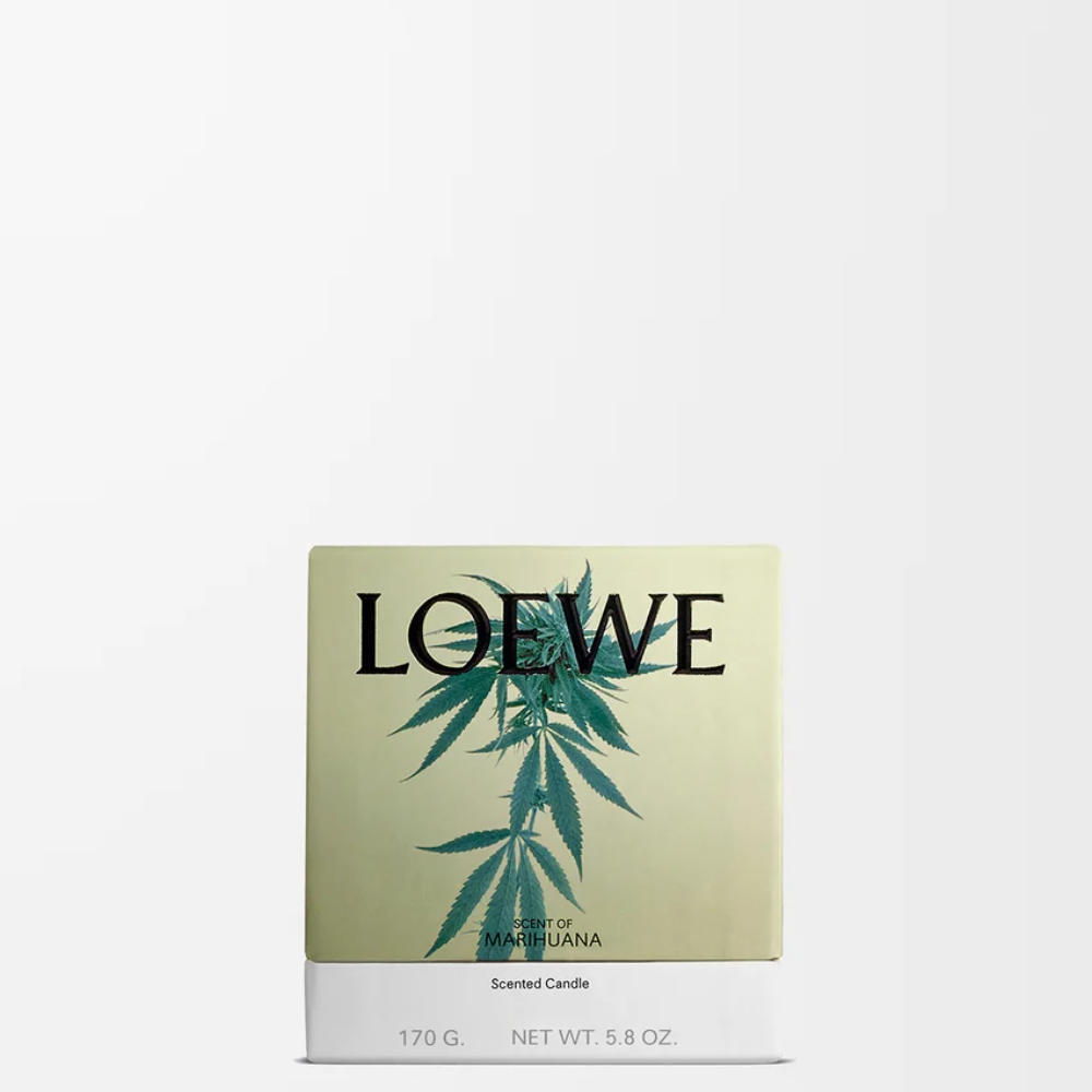 P000250X15_4110_1P-1000x1000 (1).png