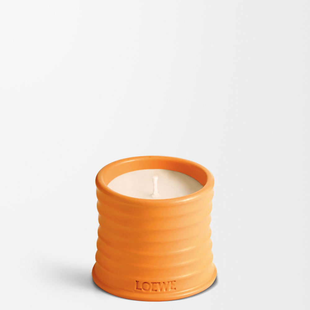 P731J80X04_8692_1F-1000x1000 (1).png