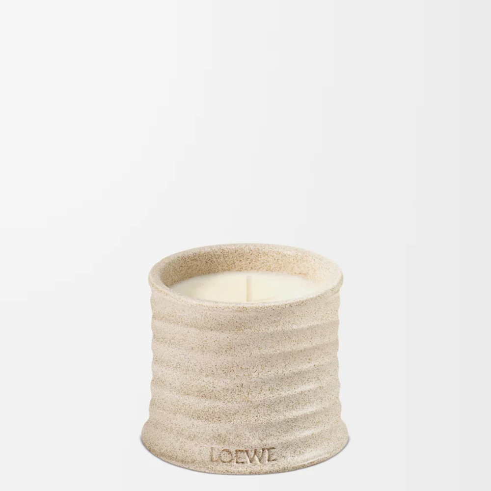 VCANJ77X06_2019_1F-1000x1000 (1).png