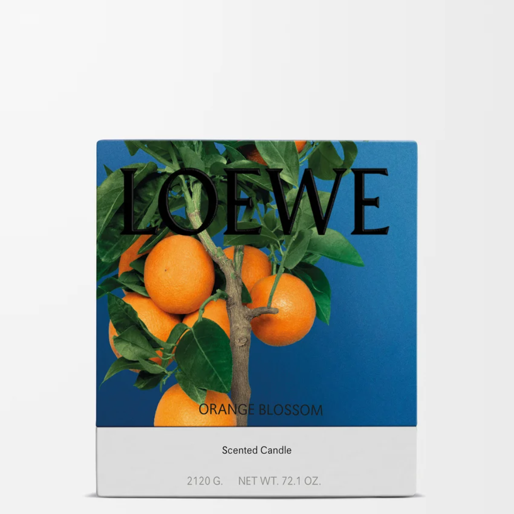 P731J80X06_8692_1P-1000x1000 (1).png