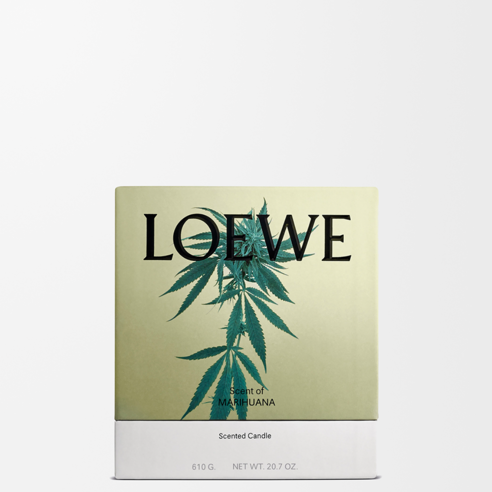 P000250X26_4110_1P-1000x1000 (1).png