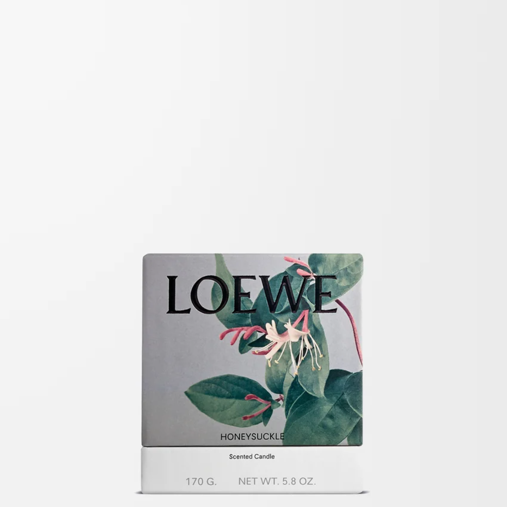 P000250X16_8100_1P-1000x1000 (1).png